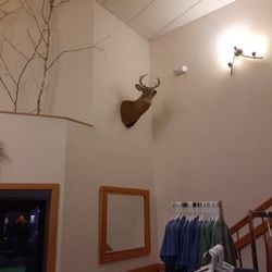 Pictured Rocks Inn & Suites