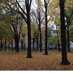 uOttawa
