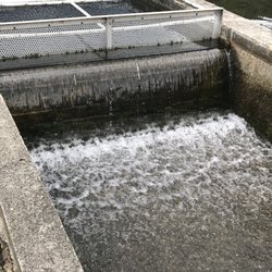 Pisgah Center for Wildlife Education - Trout Raceways