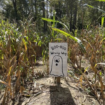 Tractor's Corn Maze - Pumpkin Patches Near Me - Wake Forest, North Carolina Tractor's Corn Maze - Pumpkin Patches Near Me - Wake Forest, North Carolina