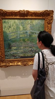 Pola Museum of Art by null