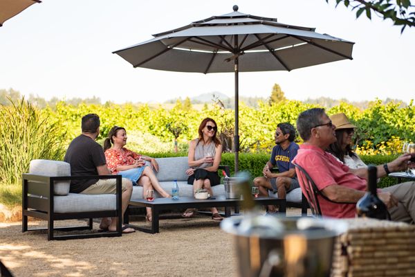 Dry Creek Vineyard by null