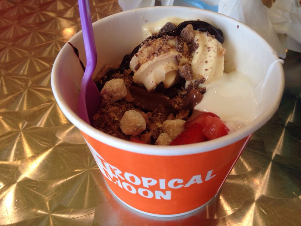 TROPICAL MOON FROZEN YOGURT CLOSED 907 4th Ave, Huntington, West Virginia Ice Cream