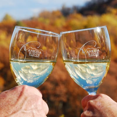 Ankida Ridge Vineyards by null