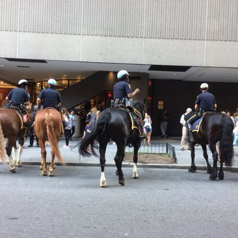 NYPD - Police Horses are my favorite! 03/27/24 - Police Departments Near Me NYPD - Police Horses are my favorite! 03/27/24 - Police Departments Near Me