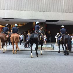 NYPD - Police Horses are my favorite! 03/27/24
