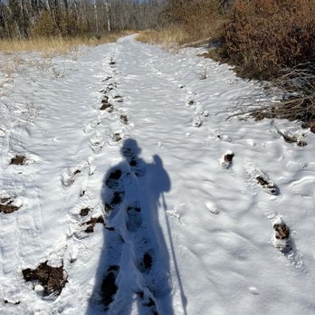 Thousand Trails Management Services - Not many hikers since snowfall - Roslyn, Washington