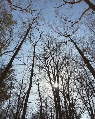 Bird Hills Nature Area by null