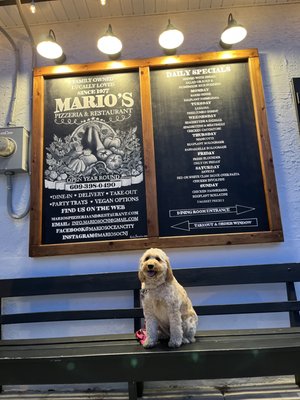 Mario's Pizzeria & Restaurant by null