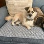 Hudson Valley Upholstery