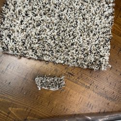 Sunfresh Carpet Cleaning