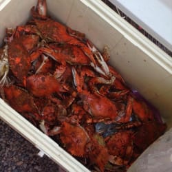 She's Got Crabs - Yummy,Yummy Crabs in the Shenberger's Tummy!
