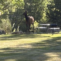 Deer Crest Resort