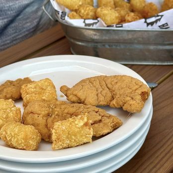 Backwoods Brewing Company - Chicken Tenders & Tots (shareable) - Breweries Near Me - Hillsboro, Oregon