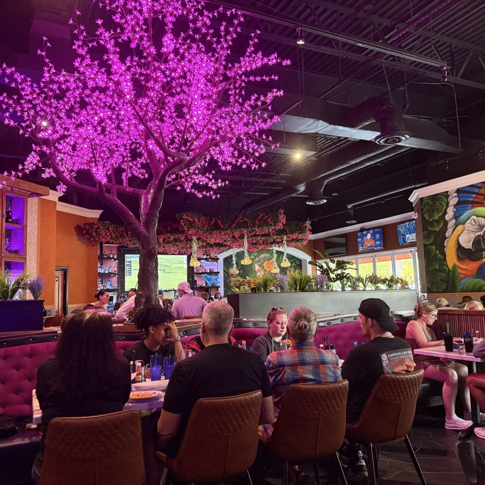 El Rey - Vibe - Mexican Near Me - New Albany, Ohio