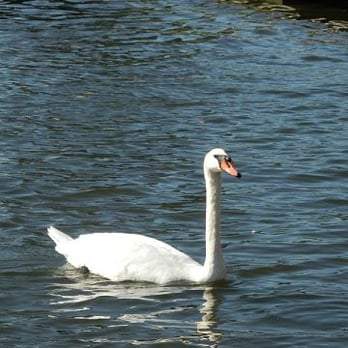 Kensington Gardens - Parks Near Me - London, XGL Kensington Gardens - Parks Near Me - London, XGL