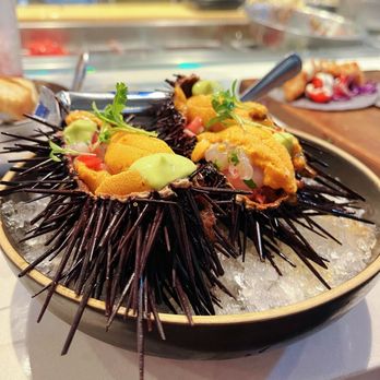 Holbox - Uni + Scallop Ceviche - Latin American Near Me - Los Angeles, California