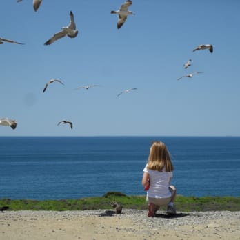 Camp Pendelton Vista Point - Parks Near Me - San Clemente, California