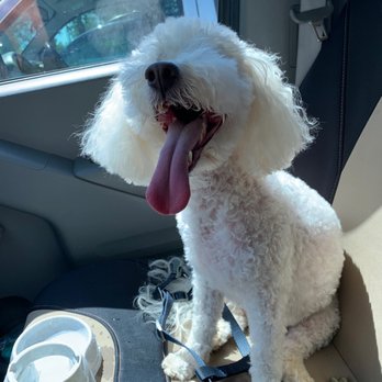 Wishbone Pet Care - Pet Groomers Near Me - Missouri City, Texas