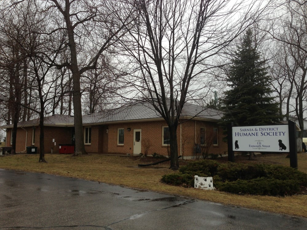 HUMANE SOCIETY Animal Shelters 131 Exmouth Street, Sarnia, ON