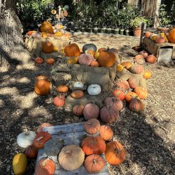 Alden Lane Nursery