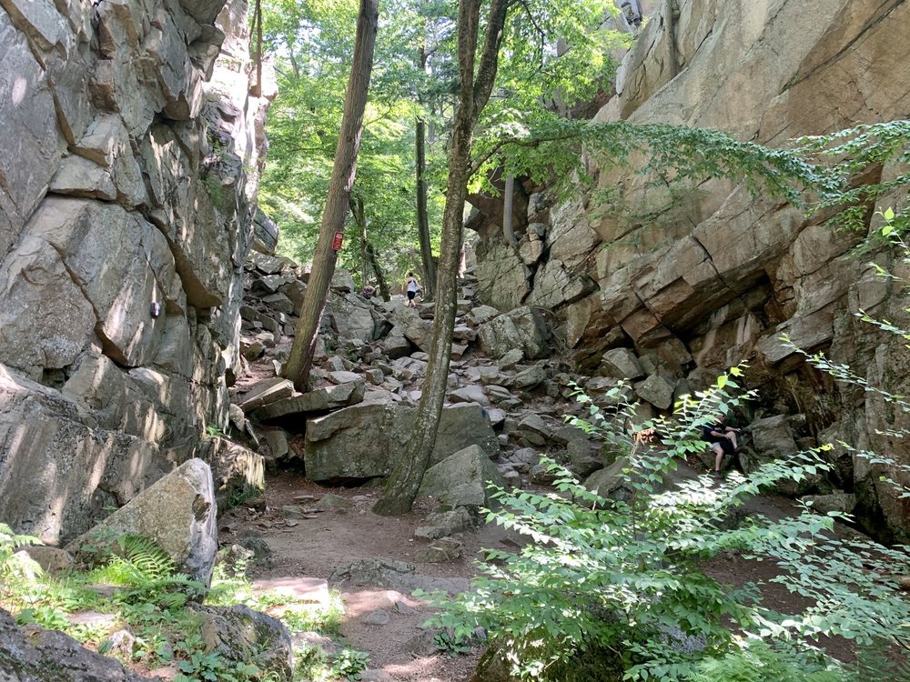 Purgatory Chasm State Reservation 145 Photos & 76 Reviews Parks