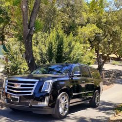 Alta Luxury Transportation - 6-passenger SUV