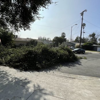 Bernabe Tree Service - Limbs after they were cut. - Tree Services Near Me - Riverside, California
