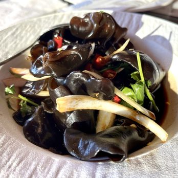 Chuan Fu 川府 - Farmhouse Cloud Ear Fungus Salad - Chinese Near Me - Winter Park, Florida Chuan Fu 川府 - Farmhouse Cloud Ear Fungus Salad - Chinese Near Me - Winter Park, Florida