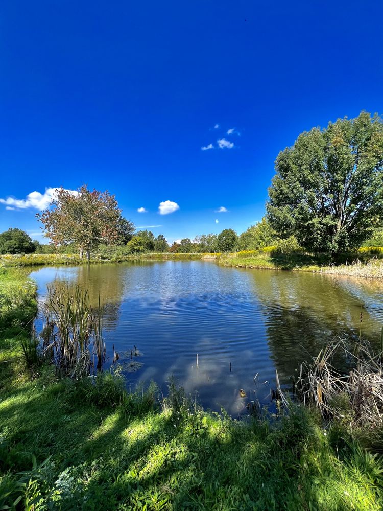 Social spots from Acacia Reservation