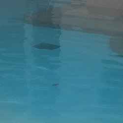 The Cabana Club - This is disgusting.