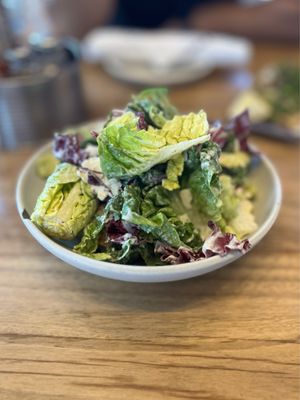 Hog Island Larkspur by null