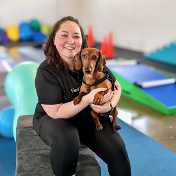 CANINE REHABILITATION OF ORANGE COUNTY - Updated January 2026 - 41