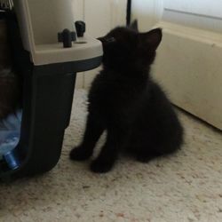 Spokane Humane Society