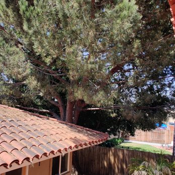 Joel's Tree Service - Tree Services Near Me Joel's Tree Service - Tree Services Near Me