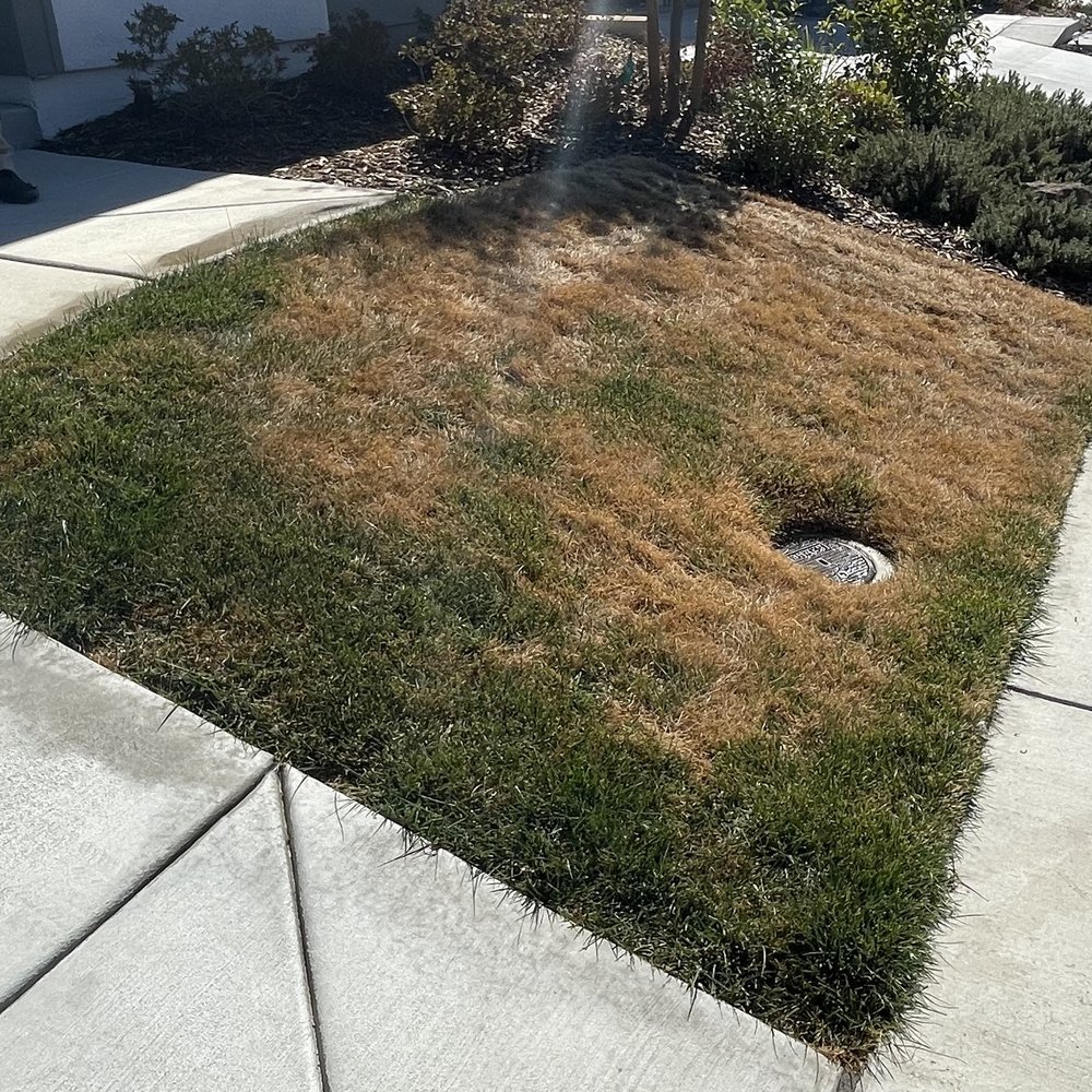 VC Landscaping & Designs - Before - Landscaping Near Me - Roseville, California VC Landscaping & Designs - Before - Landscaping Near Me - Roseville, California
