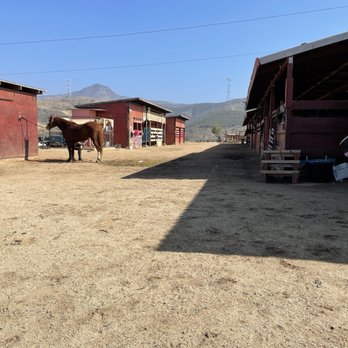 Pretty Horses Rescue - Horseback Riding Near Me - Rosarito, BCN