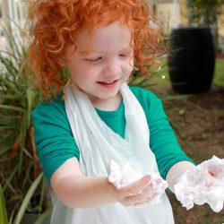 Safety Harbor Montessori Academy