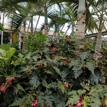 Chicago Botanic Garden - Botanical Gardens Near Me - Glencoe, Illinois