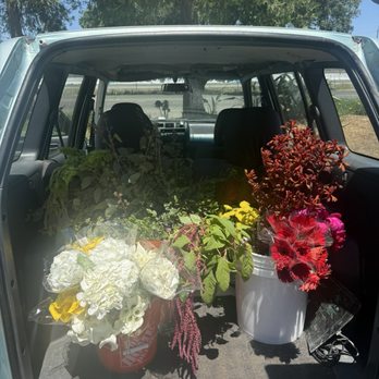 Strelitzia Flower Company - Florists Near Me - Davis, California