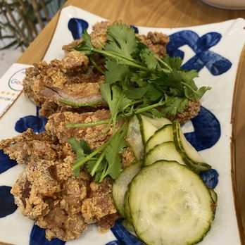 Dumpling Panda - Taiwanese Crispy Pork Chop - Chinese Near Me - Miramar, Florida