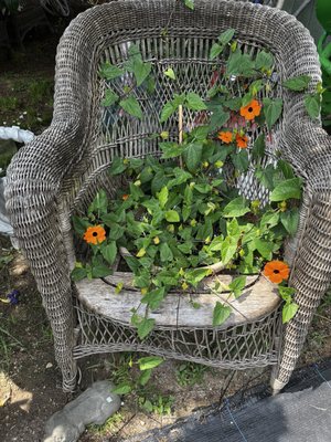 Fantastic Umbrella Factory by null