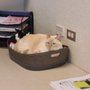 Photo of Runge Veterinary Clinic