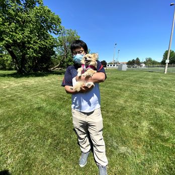 Healthy Pets - Dog Walkers Near Me - Richmond Hill, Ontario Healthy Pets - Dog Walkers Near Me - Richmond Hill, Ontario