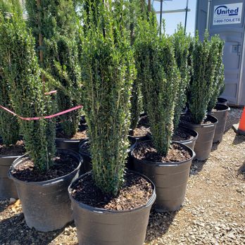 Saucedo Landscaping - Landscaping Near Me Saucedo Landscaping - Landscaping Near Me