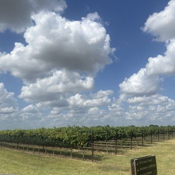 Augusta Vin Winery - Wine Tasting Room Near Me - Fredericksburg, Texas