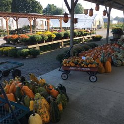 Sunnyside Greenhouses - We grow our own pumpkins & gourds for fall decor