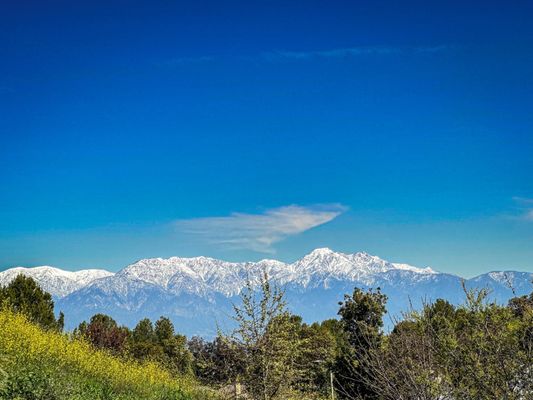 Chino Hills State Park by null