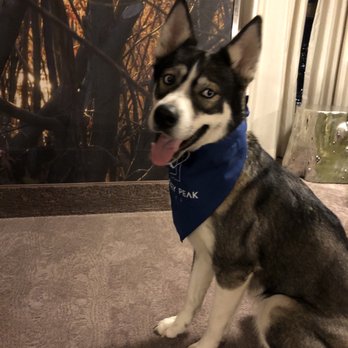 Whitney Peak Hotel Reno, Tapestry Collection by Hilton - She likes the goodies they gave her - Hotels Near Me - Reno, Nevada Whitney Peak Hotel Reno, Tapestry Collection by Hilton - She likes the goodies they gave her - Hotels Near Me - Reno, Nevada