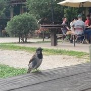 Photo of Wedge Brewing Company - Asheville, NC, United States. Hey Fran!